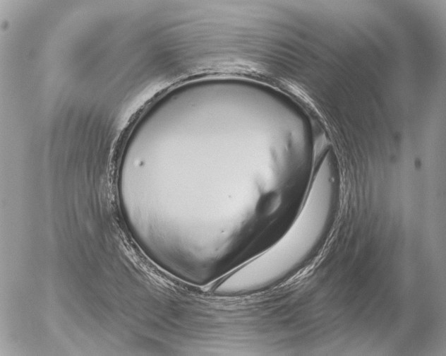 X0000052541071200507221420