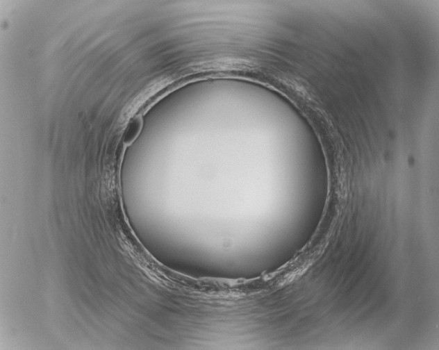 X0000052541073200507221420