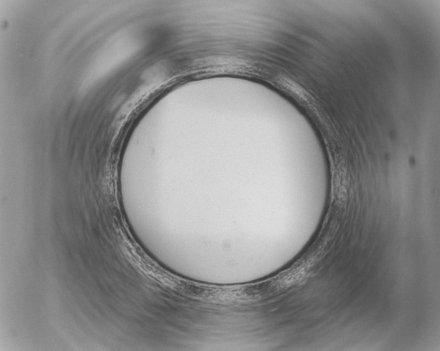 X0000052541074200507221420