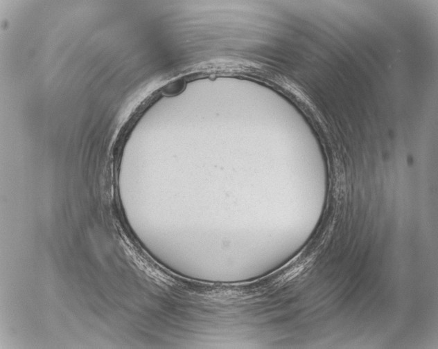 X0000052541075200507221420