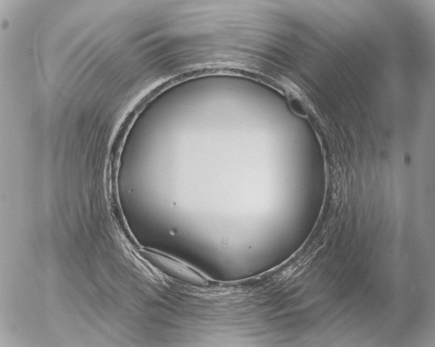 X0000052541076200507221420