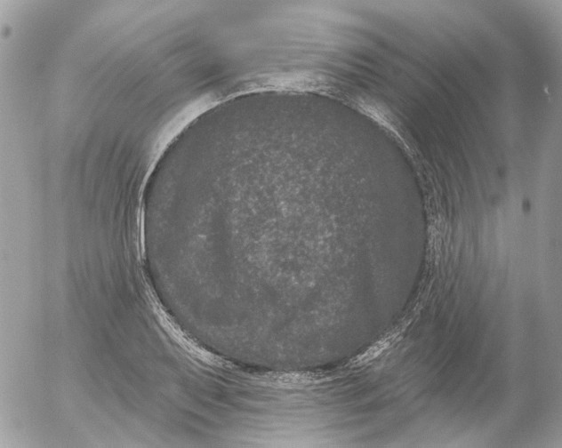 X0000052541079200507221420