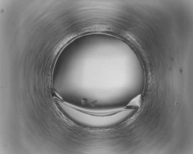 X0000052541081200507221420