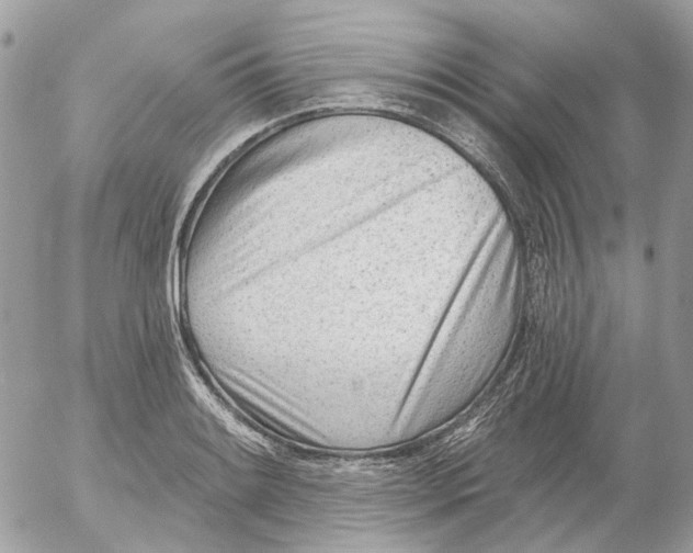 X0000052541084200507221420