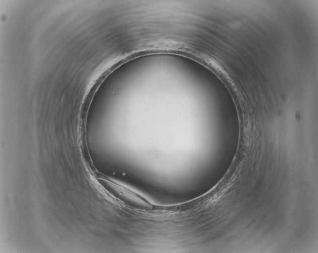 X0000052541085200507221420