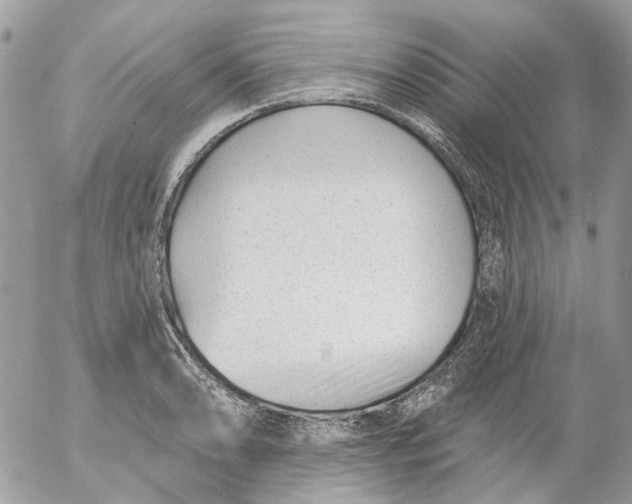 X0000052541086200507221419