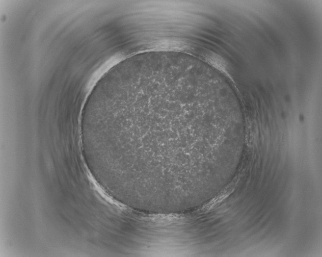 X0000052541087200507221419