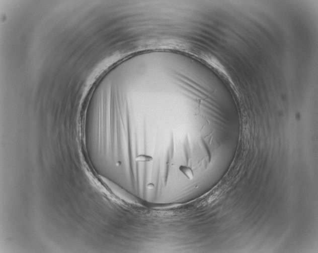 X0000052541088200507221419