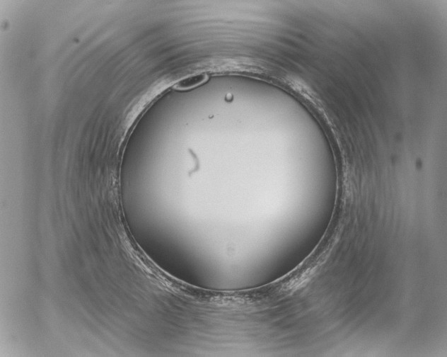 X0000052541089200507221419