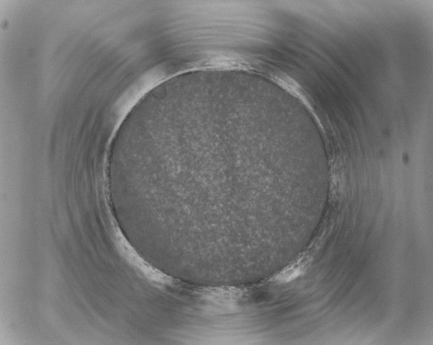 X0000052541091200507221419