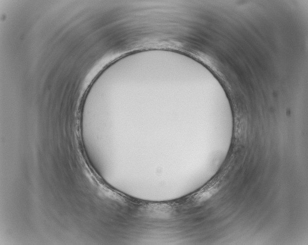 X0000052541094200507221419