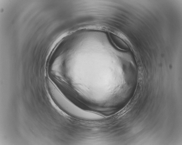 X0000052541095200507221419