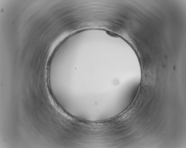 X0000052541096200507221419