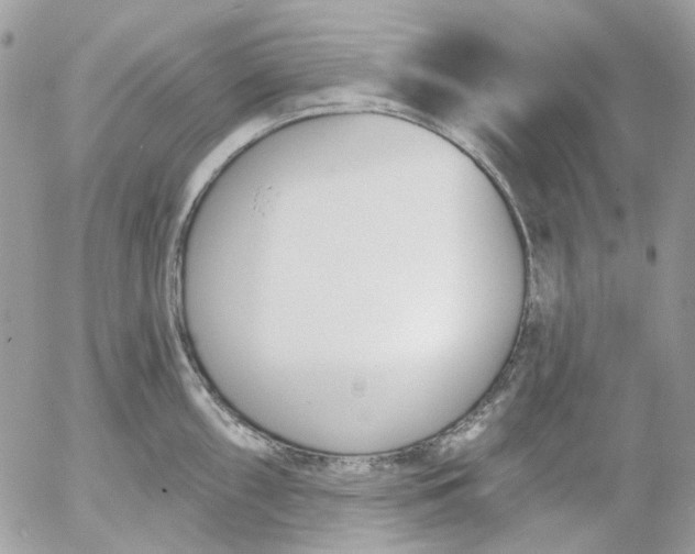 X0000052541098200507221419