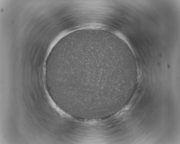 X0000052541099200507221419