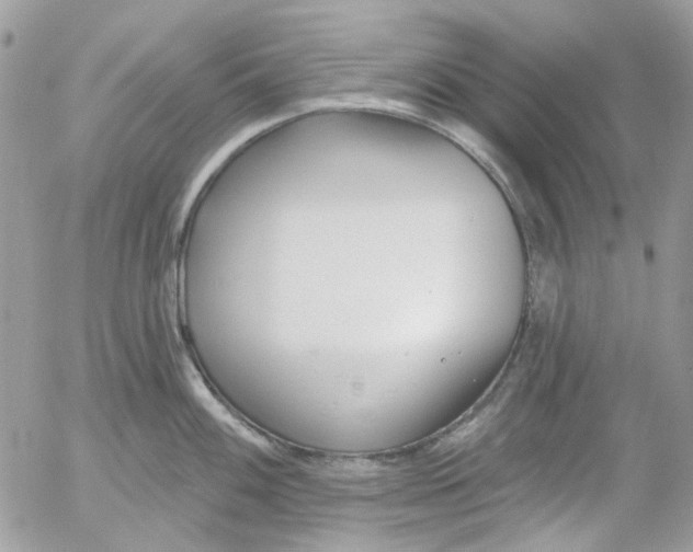 X0000052541100200507221419