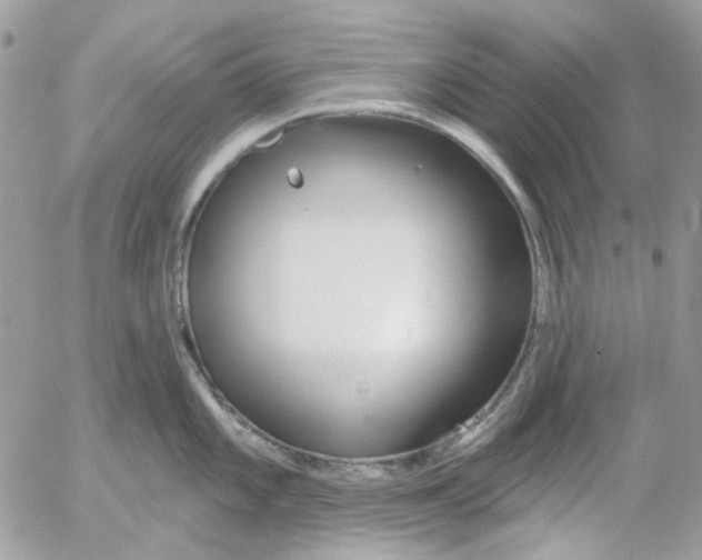 X0000052541101200507221419