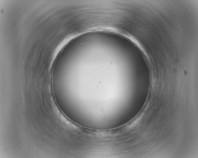 X0000052541102200507221419