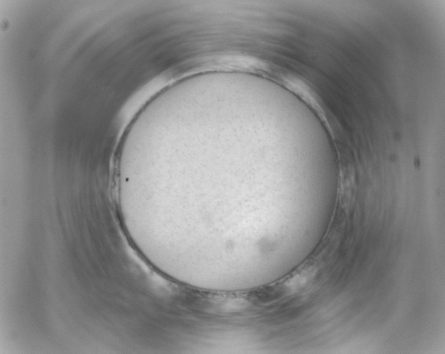 X0000052541103200507221419