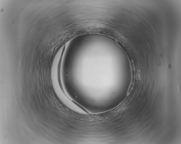 X0000052541108200507221418