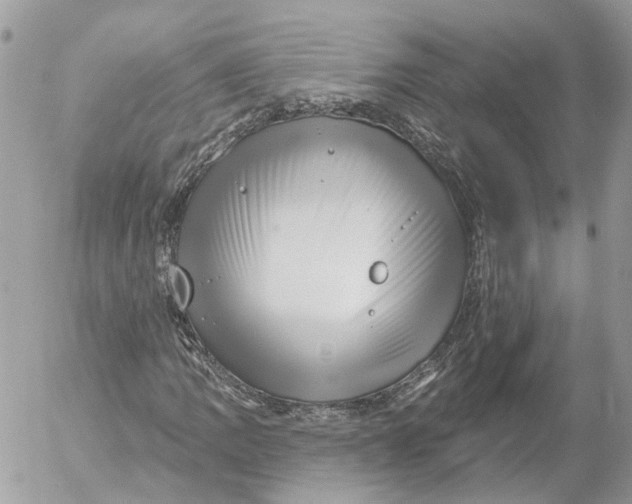 X0000052541109200507221418