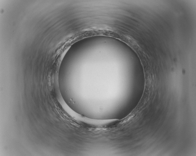 X0000052541110200507221419