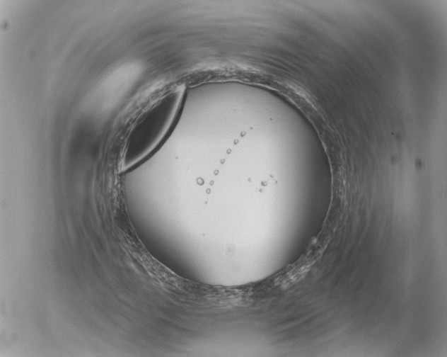 X0000052541111200507221419