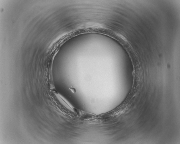 X0000052541112200507221419