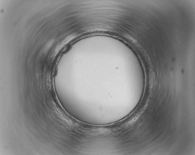 X0000052541113200507221419