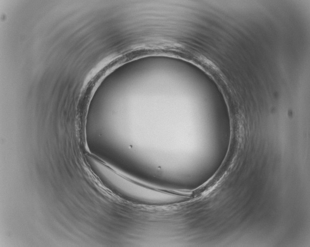 X0000052541114200507221419