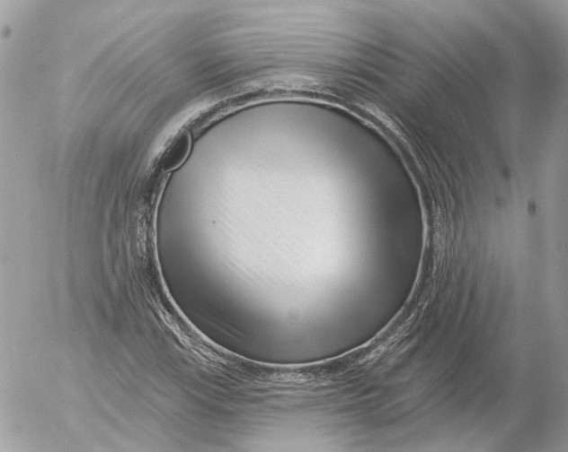 X0000052541115200507221419