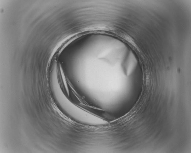 X0000052541116200507221419