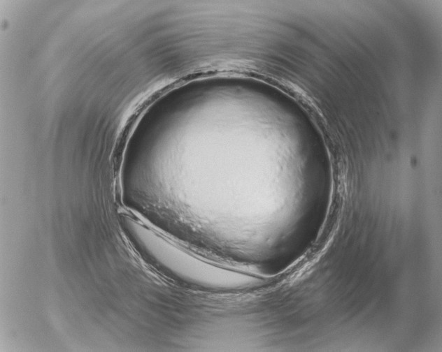 X0000052541117200507221419