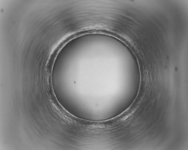 X0000052541118200507221419