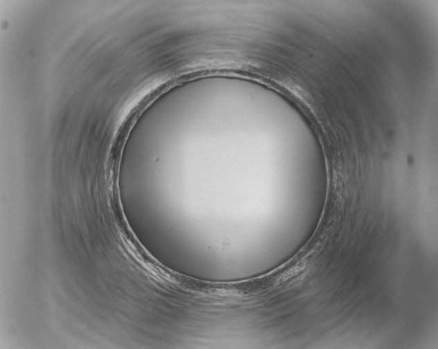 X0000052541119200507221419