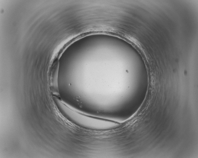 X0000052541120200507221419