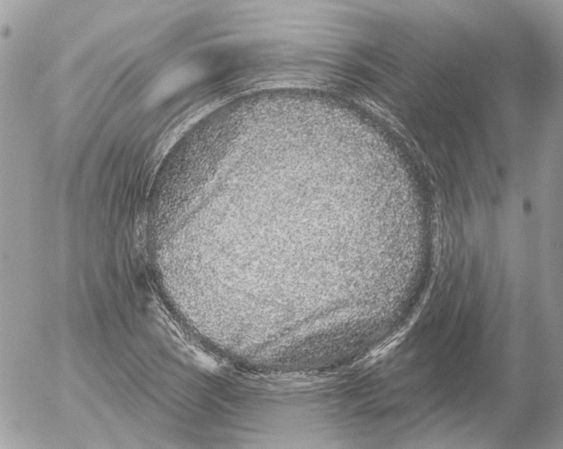 X0000052541121200507221419