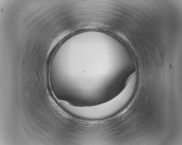 X0000052541122200507221419