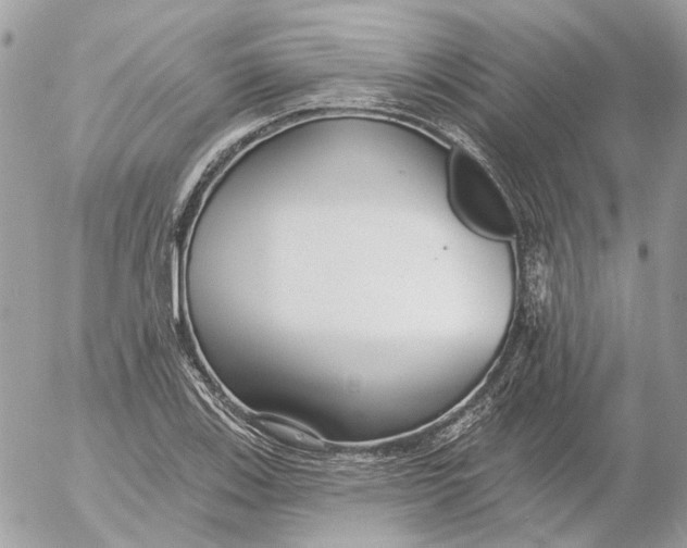 X0000052541123200507221419