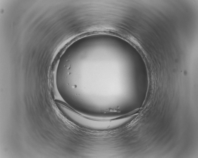 X0000052541124200507221419