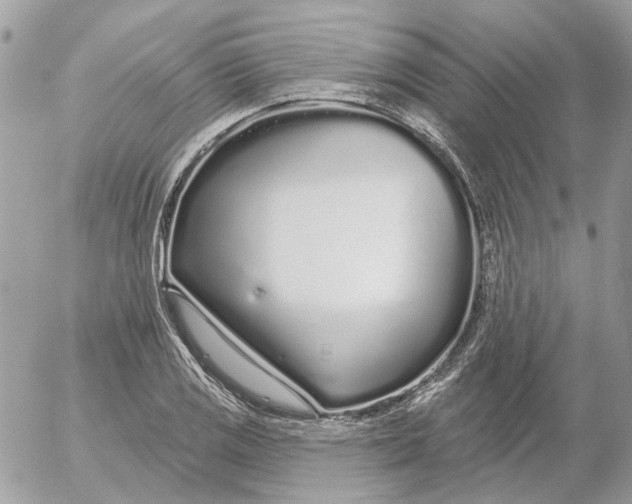 X0000052541125200507221419