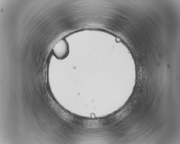 X0000052541126200507221419