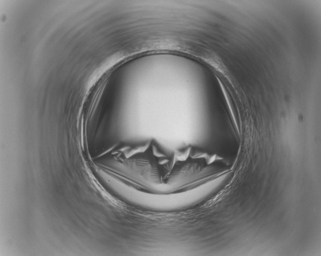 X0000052541127200507221419