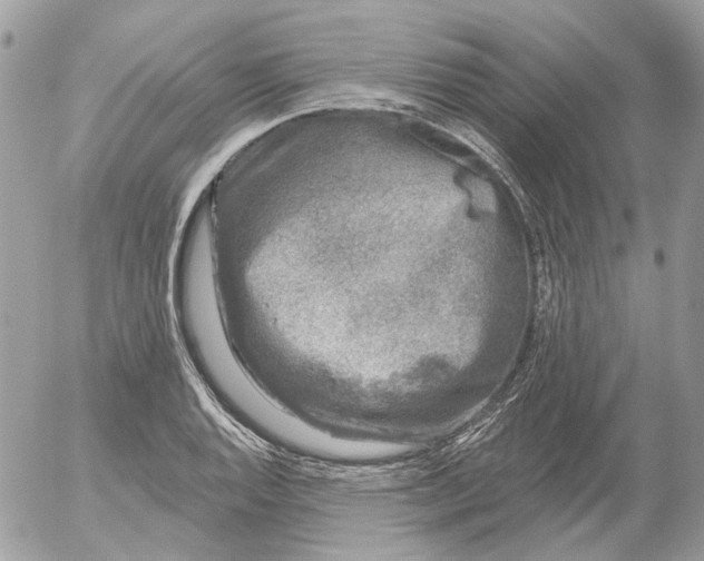 X0000052541128200507221419