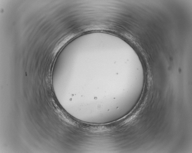 X0000052541129200507221419