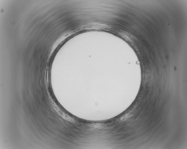 X0000052541130200507221419