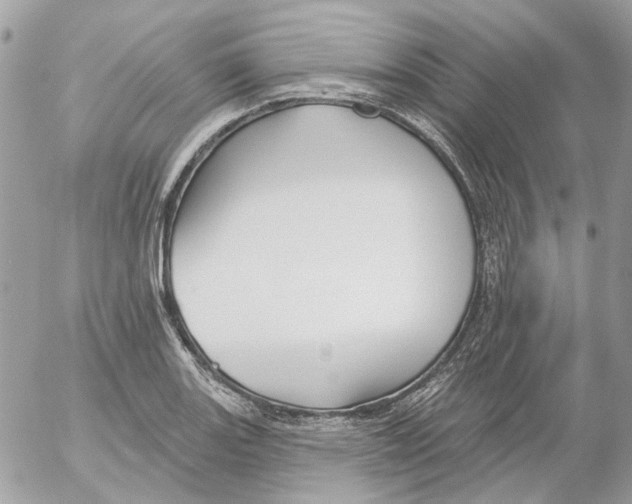 X0000052541131200507221419