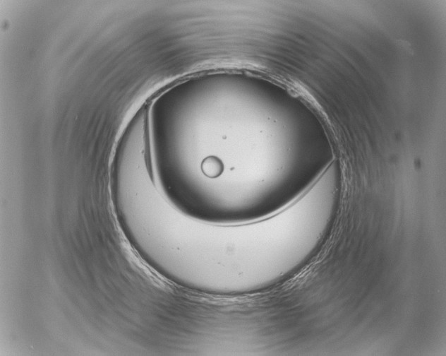 X0000052541132200507221419