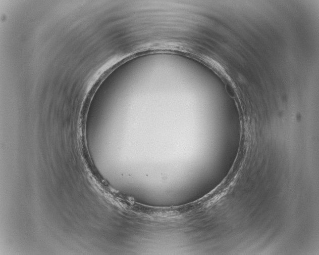 X0000052541133200507221419