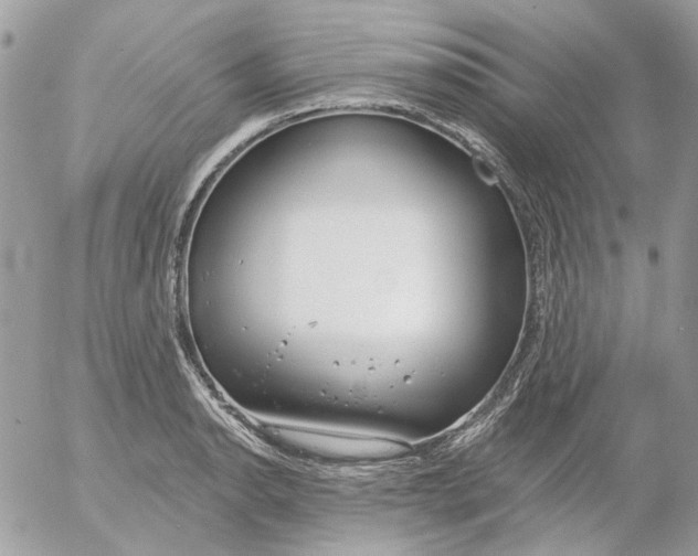 X0000052541134200507221419